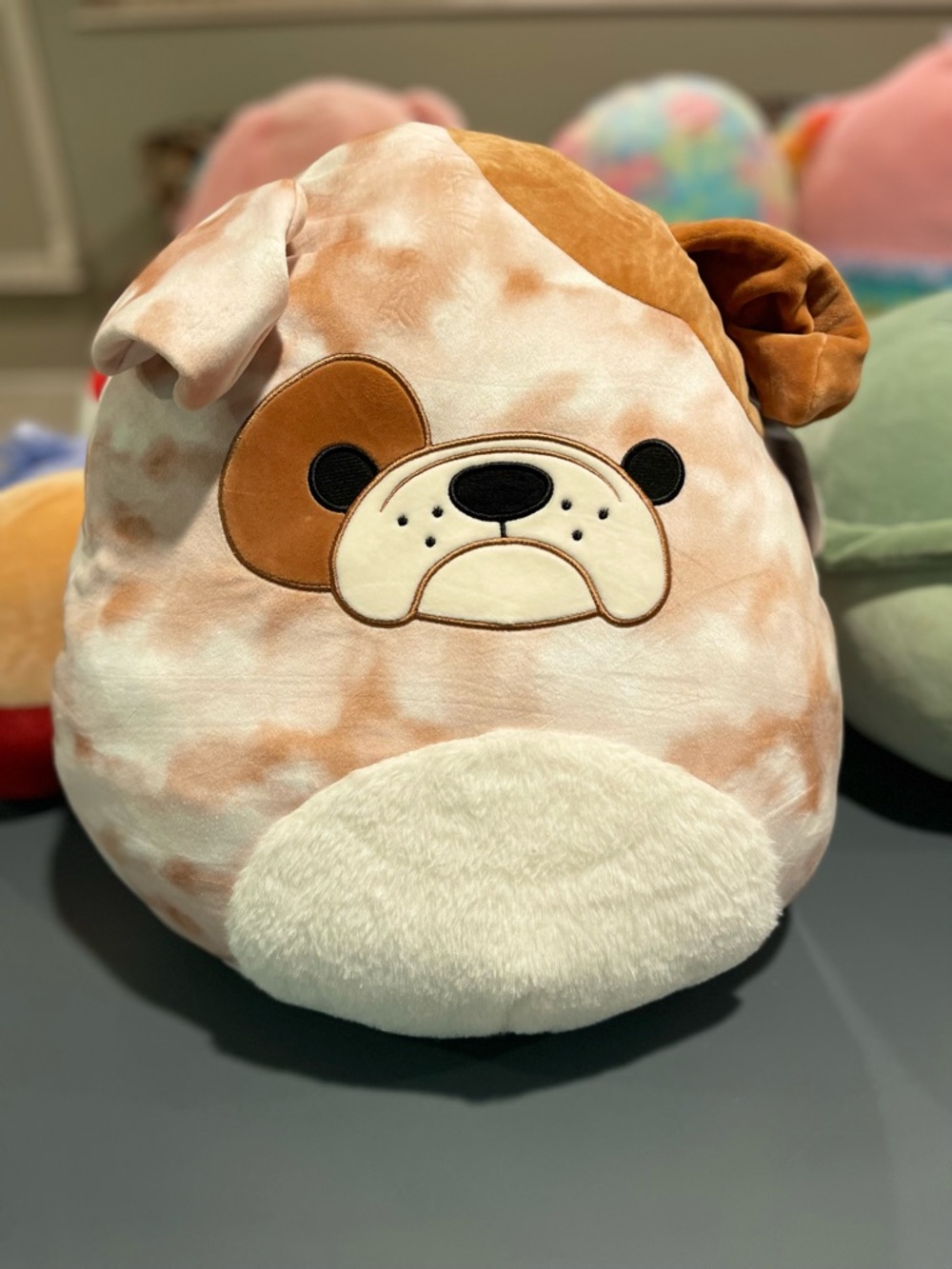 Squishmallows Tan, Cream and Brown Bulldog Plush